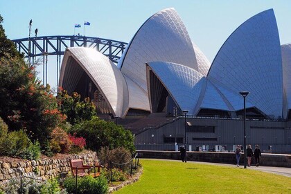 Quay People: Sydney Harbour Walking Tour with Aussie Treats