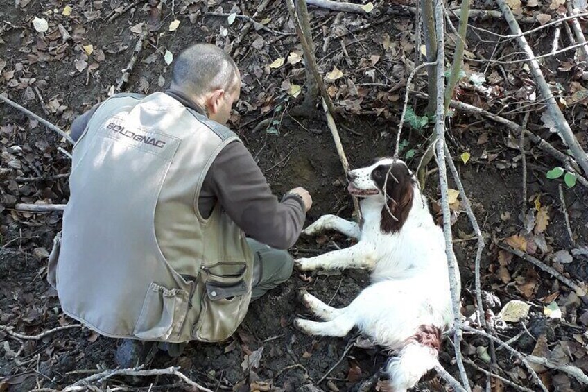 Truffle hunting starting from Alba