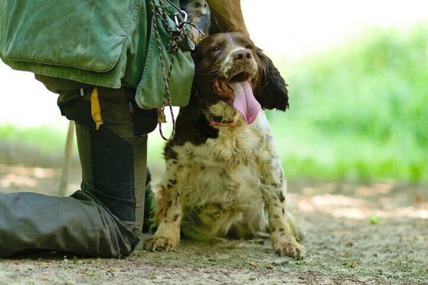 Langhe Truffle hunting Experience