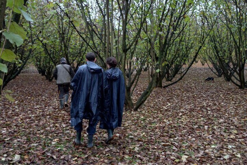 Truffle hunting starting from Alba