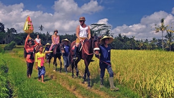 Bali Private Horseback Riding in Tegalalang Rifefields