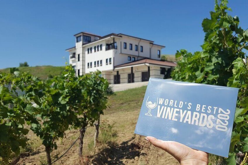 Wine Tasting & More in Villa Melnik – One of the World’s Best Wineries