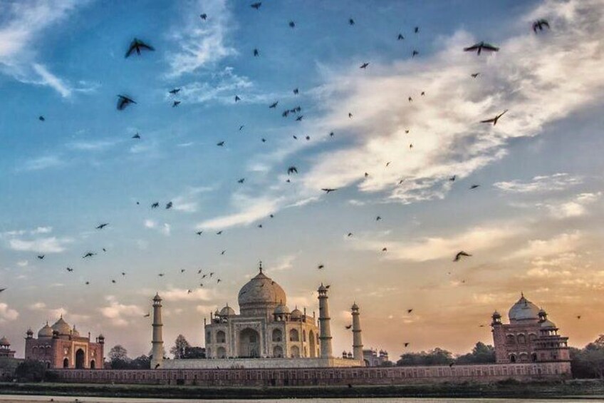 Morning Yoga Session Facing Taj Mahal