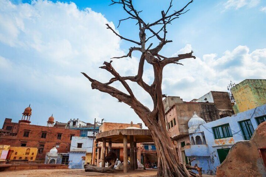 Heritage & Cultural Trails of Mathura (2 Hours Guided Walking Tour)