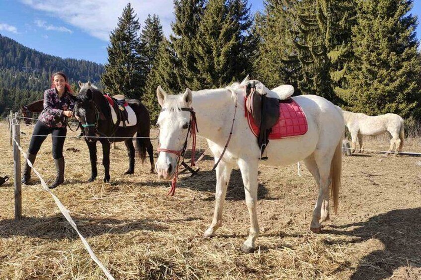 Horse Riding in the Heart of the Rhodope Mountains - Hvoyna