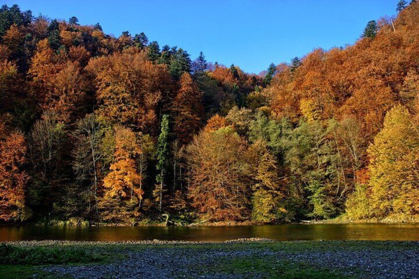 Dunajec River Gorge Rafting - Private Tour from Krakow