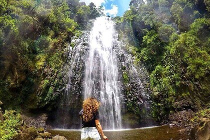 Gita di un giorno alla cascata di Materuni, tour del caffè e Moshi Nightlif...