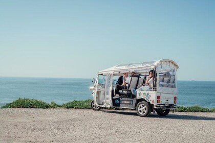 Visite privée d'une demi-journée de Porto et du village d'Afurada sur un Tu...