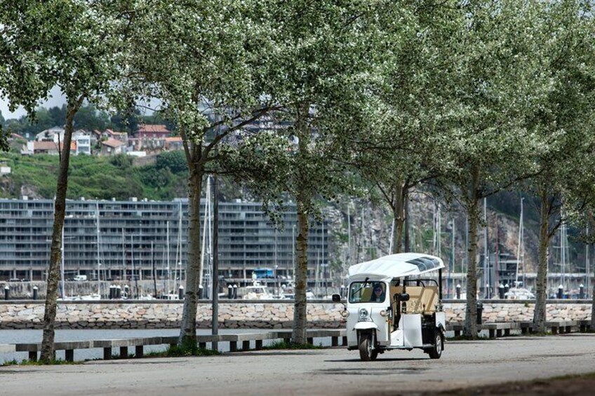 Half Day Private Tour of Historic Porto and Afurada Beach Village on a Tuk Tuk