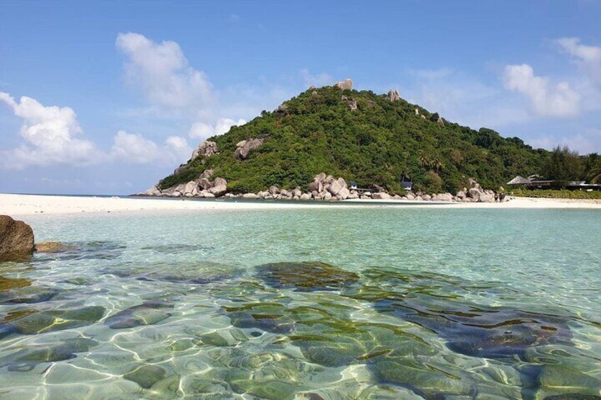 Koh Tao & Koh Nangyuan Snorkeling Trip By Speedboat From Koh Phangan