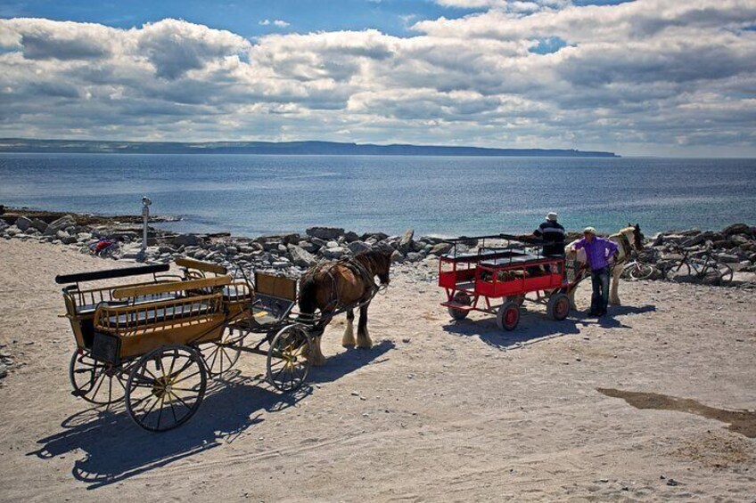 Aran islands pub tour from Galway. Inisheer/Inishmore. Private guide. Full day.