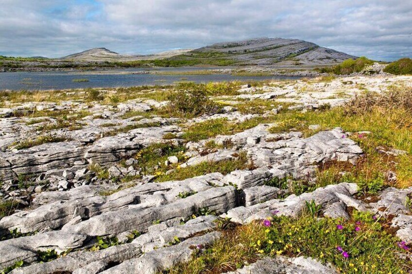 Walk Within - Private Spiritual Walk. Burren, Co Clare. Guided. 4 hours.