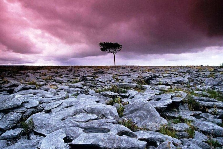 Walk Within - Private Spiritual Walk. Burren, Co Clare. Guided. 4 hours.