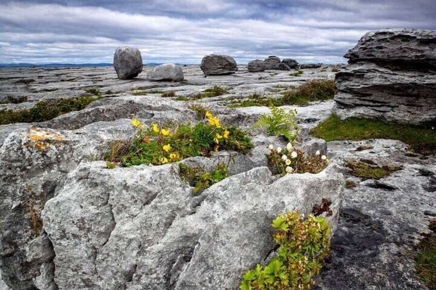 Walk Within - Private Spiritual Walk. Burren, Co Clare. Guided. 4 hours.