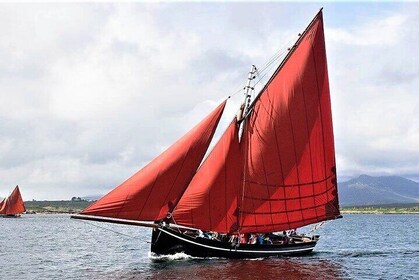 Sail in a traditional Galway Hooker, Connemara. Private Charter. Guided.2 h...