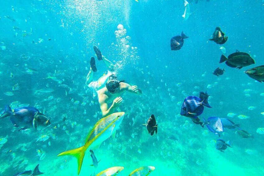 Coral reef https://media-cdn.tripadvisor.com/media/attractions-splice-spp-720x480/11/65/68/d2.jpg