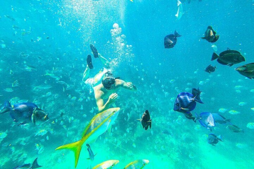 Coral reef https://media-cdn.tripadvisor.com/media/attractions-splice-spp-720x480/11/65/68/d2.jpg