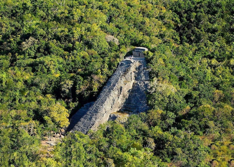 Private tour Tulum: Coba Cenote + Cocoa and honey Experience