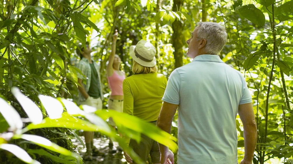 Group enjoying the Aito 4WD safari Tour in Bora Bora 