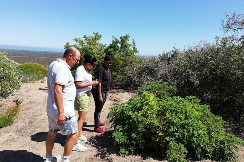 Safari Cycle and !Khwa ttu San Heritage Experience