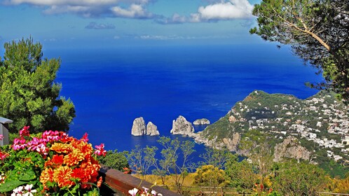 Capri & Anacapri Seleziona Tour da Sorrento 