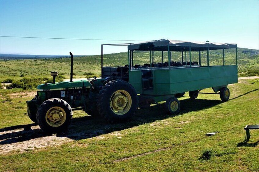 Private Tour : Africa Wild Safari West Coast Cape Town