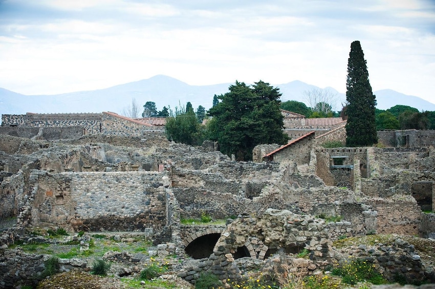 Skip The Line Trip to Pompeii by Train from Sorrento