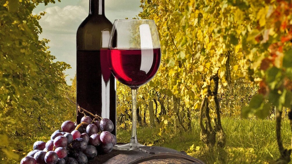 Pompeii & Wine Tasting Tour from Sorrento