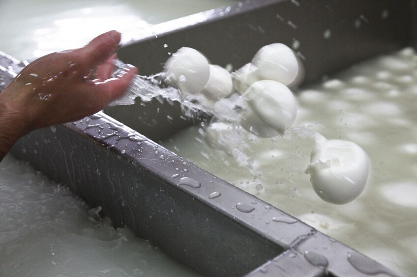 Rural Gastronomy Tour For Foodies !