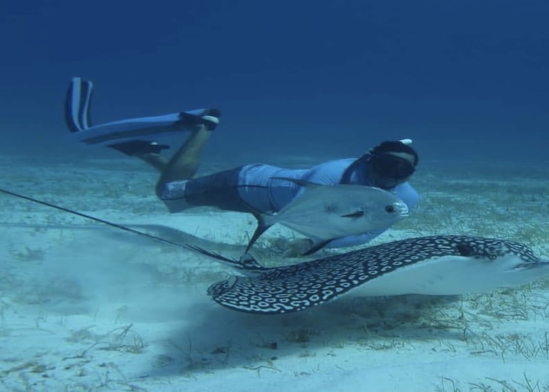 Full day Snorkel Cozumel Reef Tour & Boat Ride