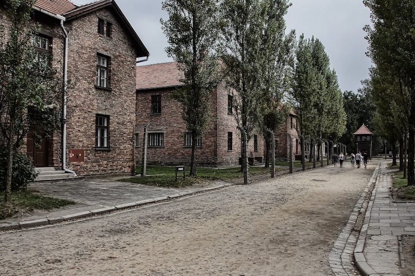 Guided Tour of Auschwitz-Birkenau Concentration Camp from Krakow