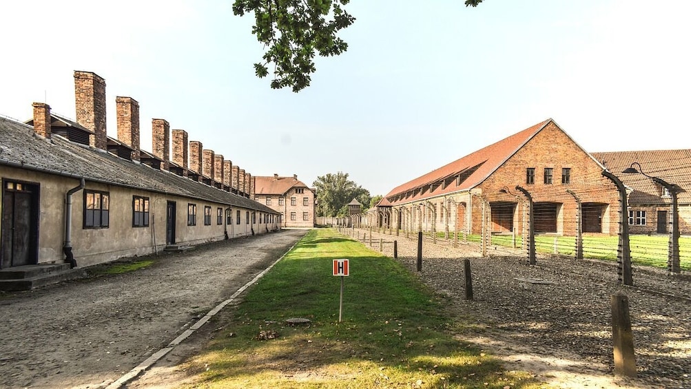 red guided tour auschwitz