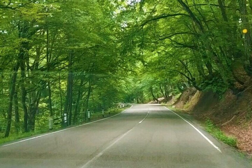 Hiking Tour to Lagodekhi National Park from Tbilisi