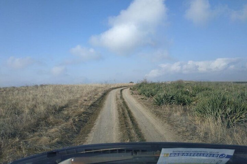 road to vashlovani protected areas