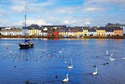 Galway Top Highlights and Claddagh Village Walking Tour