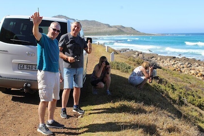 Private Visit To Hermanus Whale Watching Penguins And Winery + All fees inc...