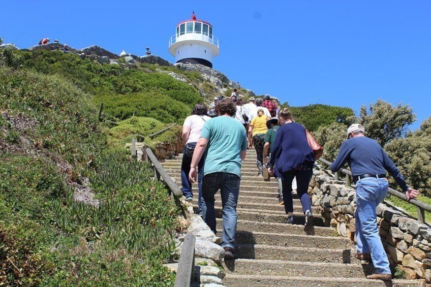 Hiking to the Lighthouse