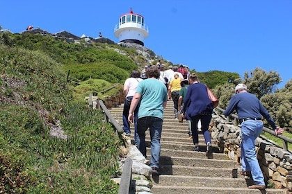 Full-Day Tour to Cape Point and Cape of Good Hope