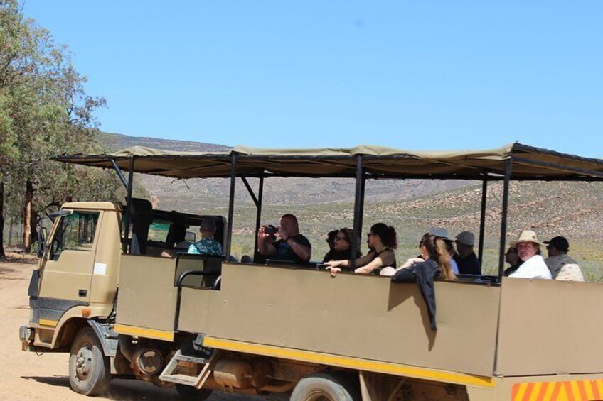 Safari at Aquila