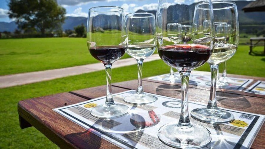 Full day Cape Winelands