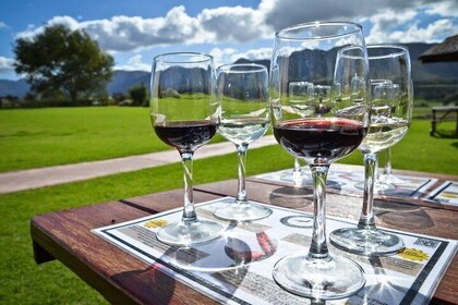 Full day Cape Winelands ( Stellenbosch and Franschoek )