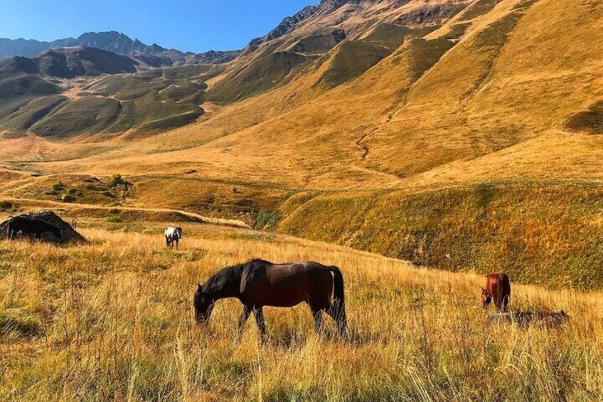 Trusso valley