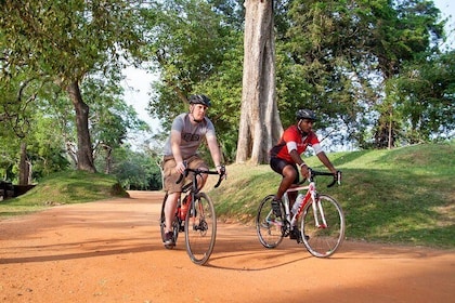 Cycling Tour to Hill Country (9 Days)