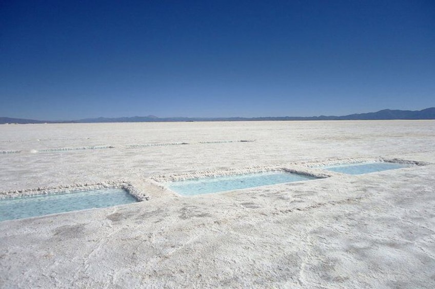 Full Day Excursion to Salinas Grandes from Salta