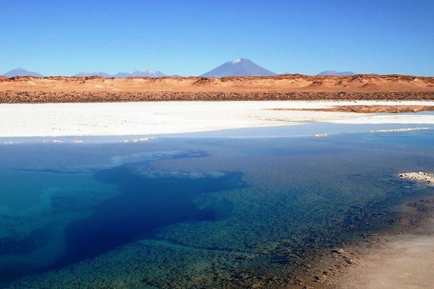 Full Day Excursion to Salinas Grandes from Salta