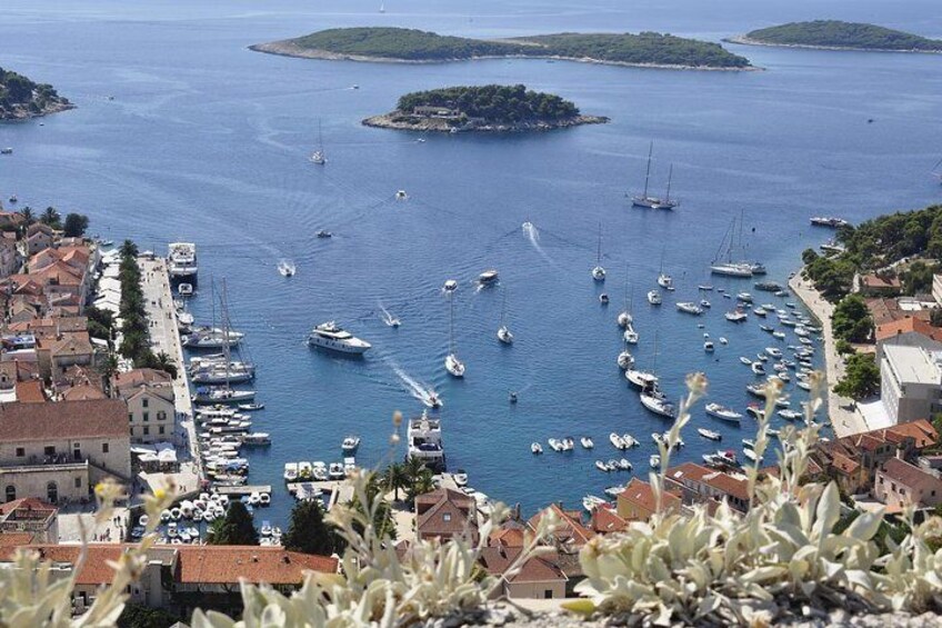 Hvar Private Walking Tour With A Professional Guide