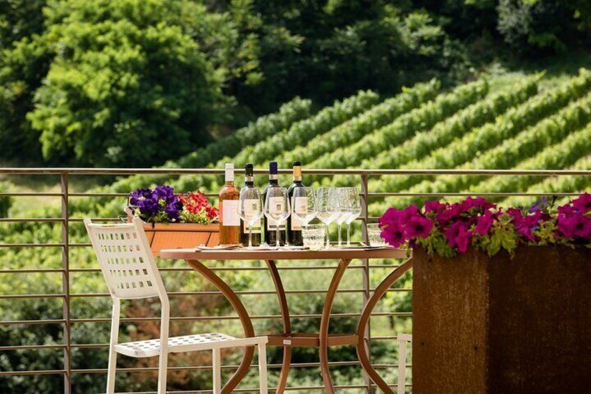 San Gimignano: Chianti wine tasting and lunch 