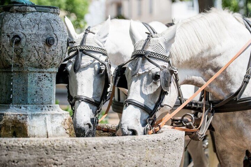 Baden-Baden Private Walking Tour