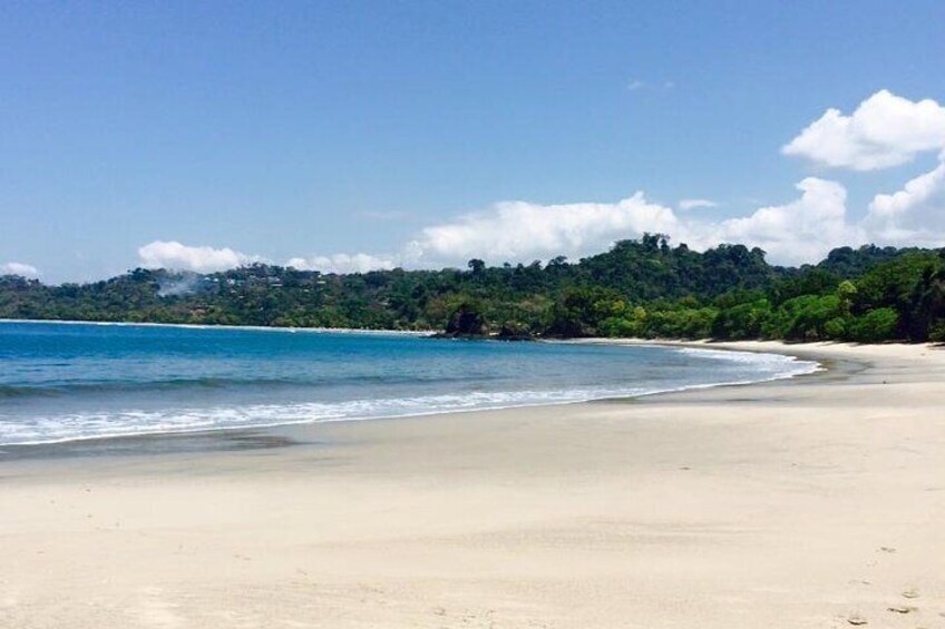 Manuel Antonio National Park full Wildlife