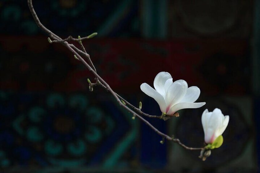 Temple of Heaven & Summer Palace Admission Ticket